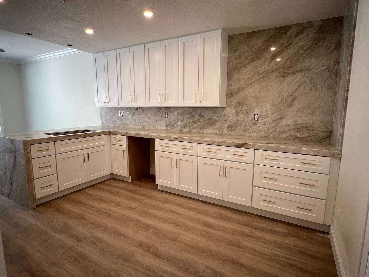 Modern Kitchen Renovation Project 1